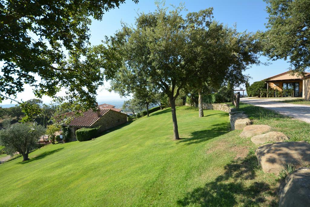 Agriturismo Podere L'Aione Scansano Exterior foto