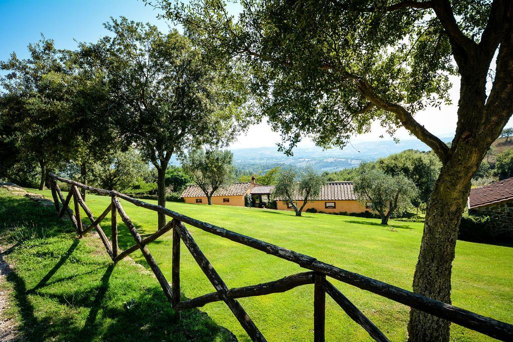 Agriturismo Podere L'Aione Scansano Exterior foto